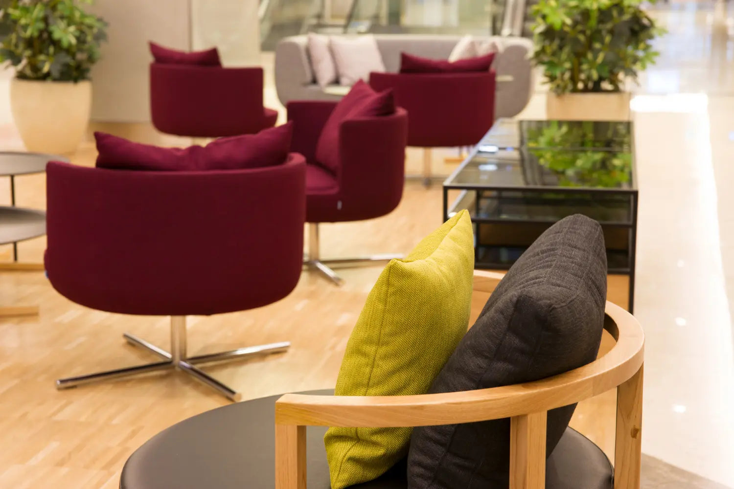 5 Must-Have Designer Furniture Pieces That Define Modern Australian Living