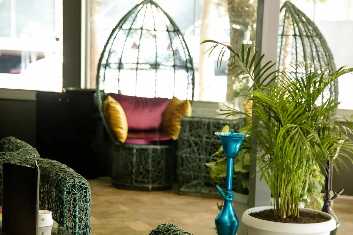 Sustainable Contemporary Décor: Elevating Your Home with Eco-Conscious Elegance